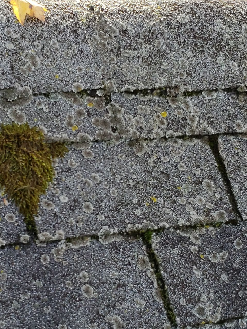 ATLAS PINNACLE SCOTCHGARD COLOR: PEWTER DRIP EDGE: BLACK by Eagle Eye Roofing