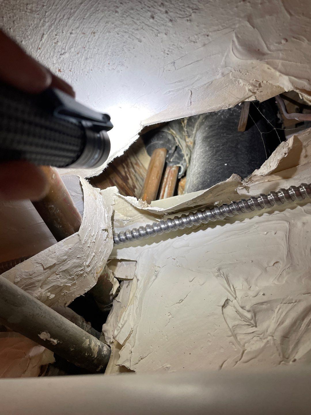Mold Remediation by Accountable Home Services