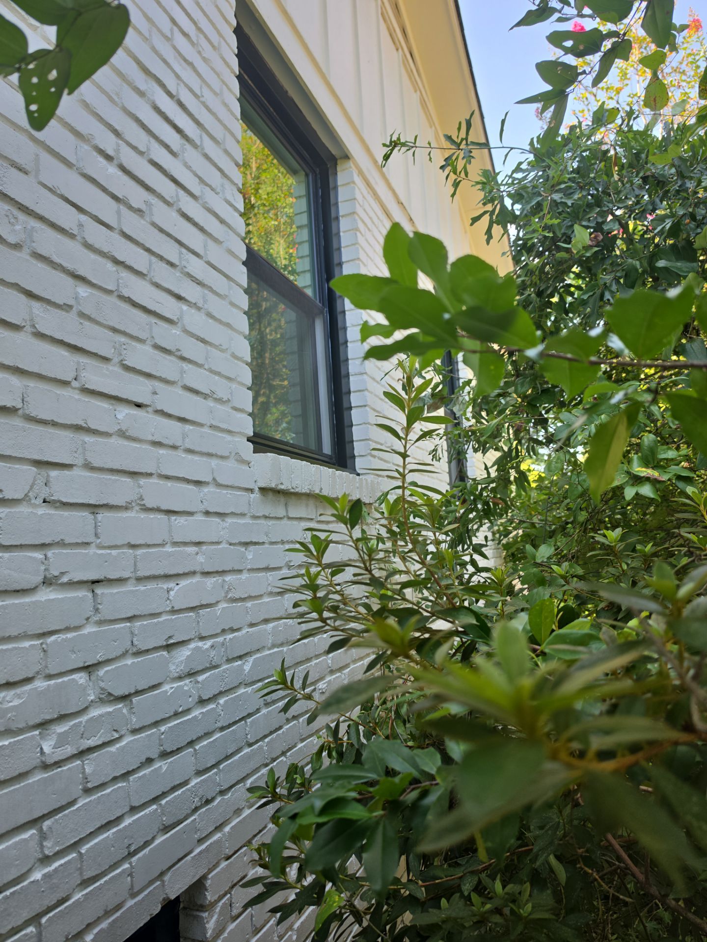 Taylor Project in Hoover by The Window Source