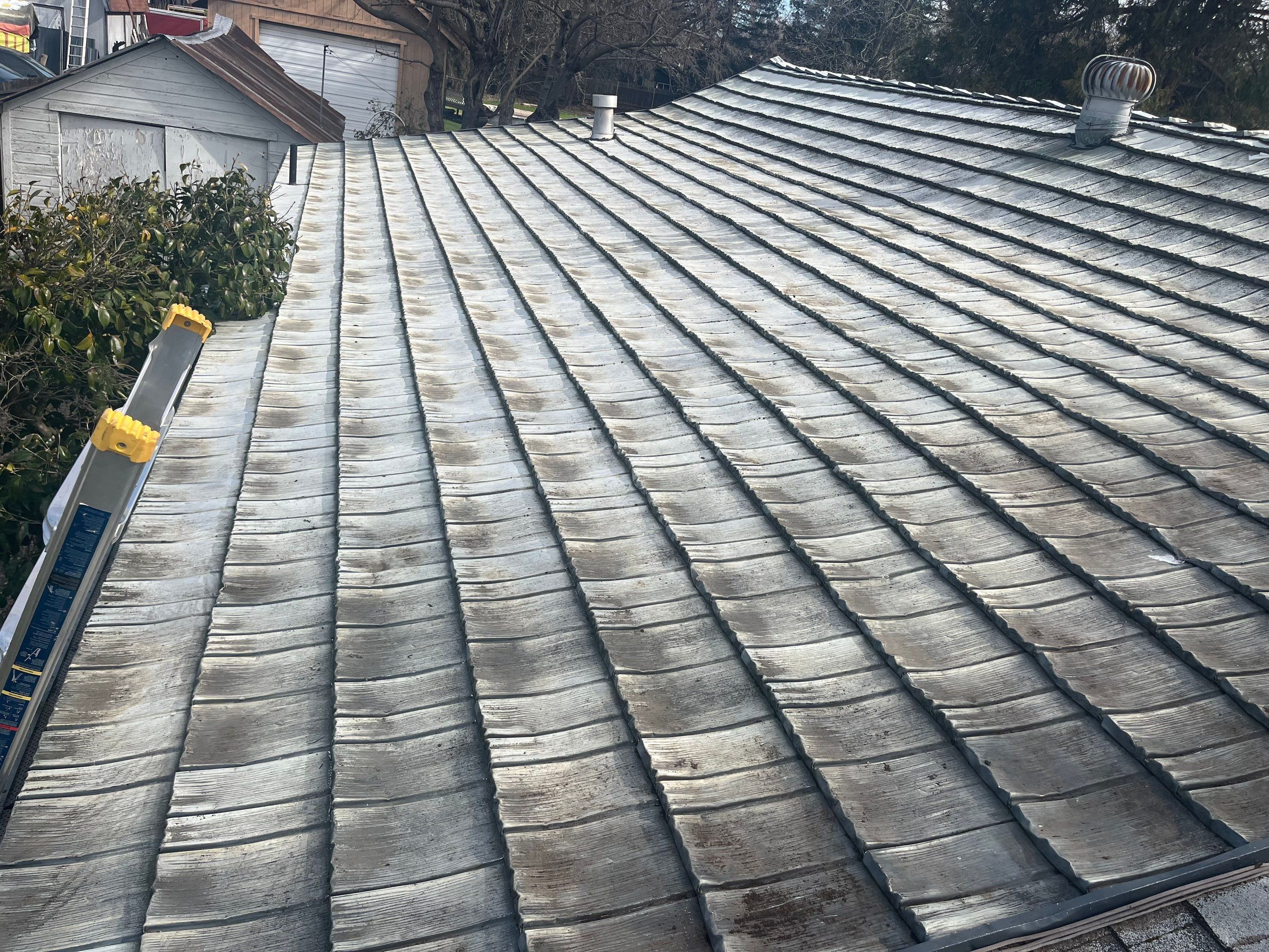 Residential Cleaning in Citrus Hights  by Nextop Roofing