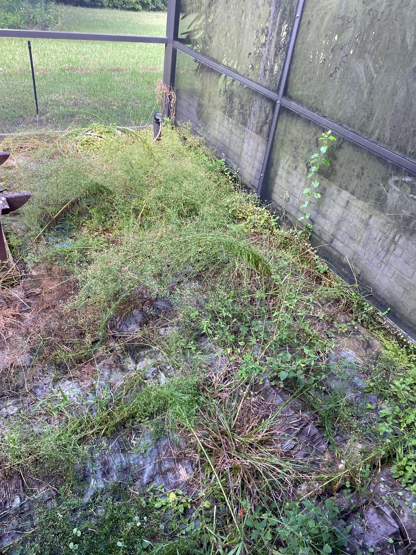 Deerwood Residence | Extreme Clean Up by ProGreen Services
