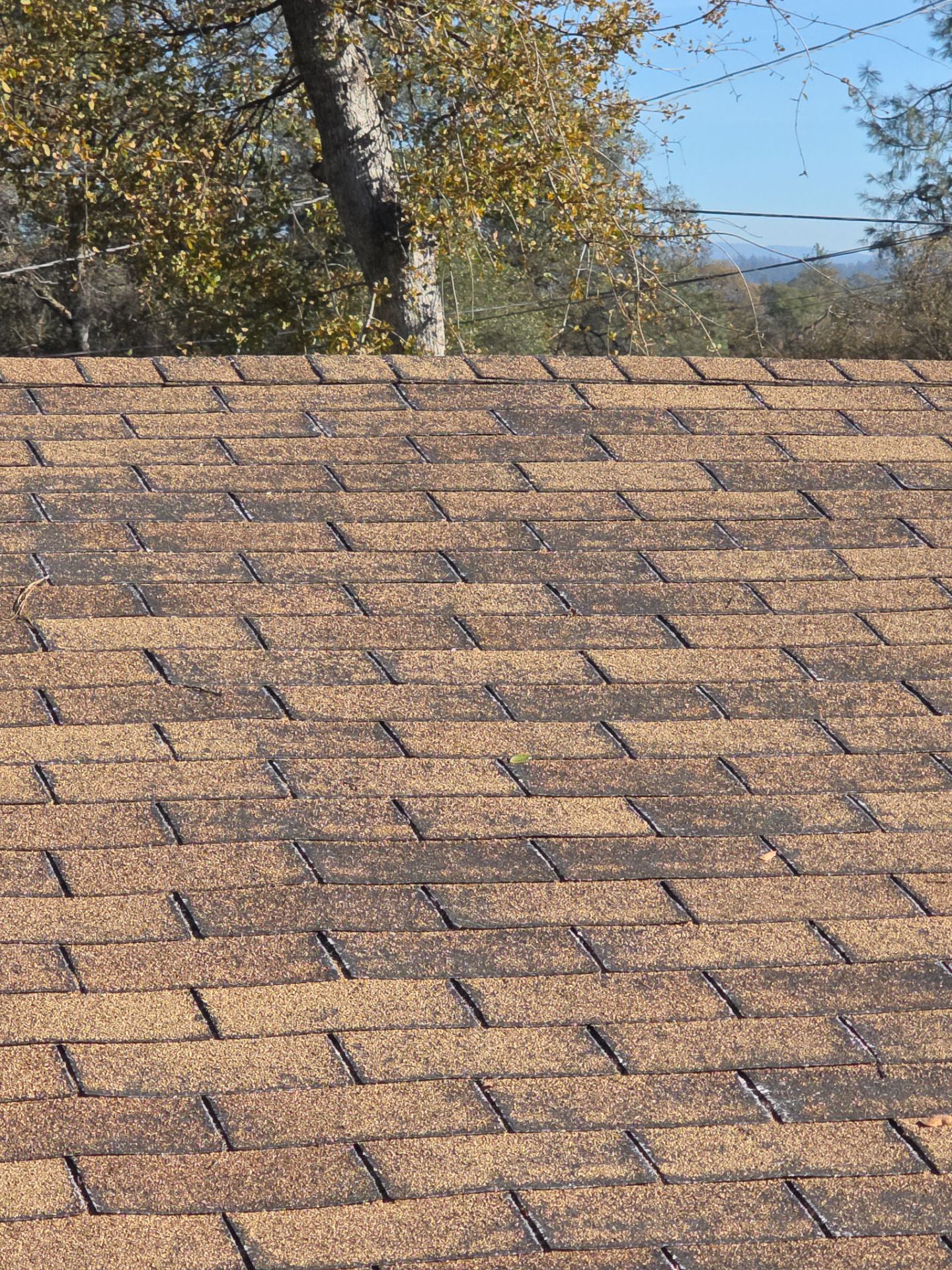 Roof Rejuvenation using Roof Maxx Treatment by Roof Maxx of Folsom