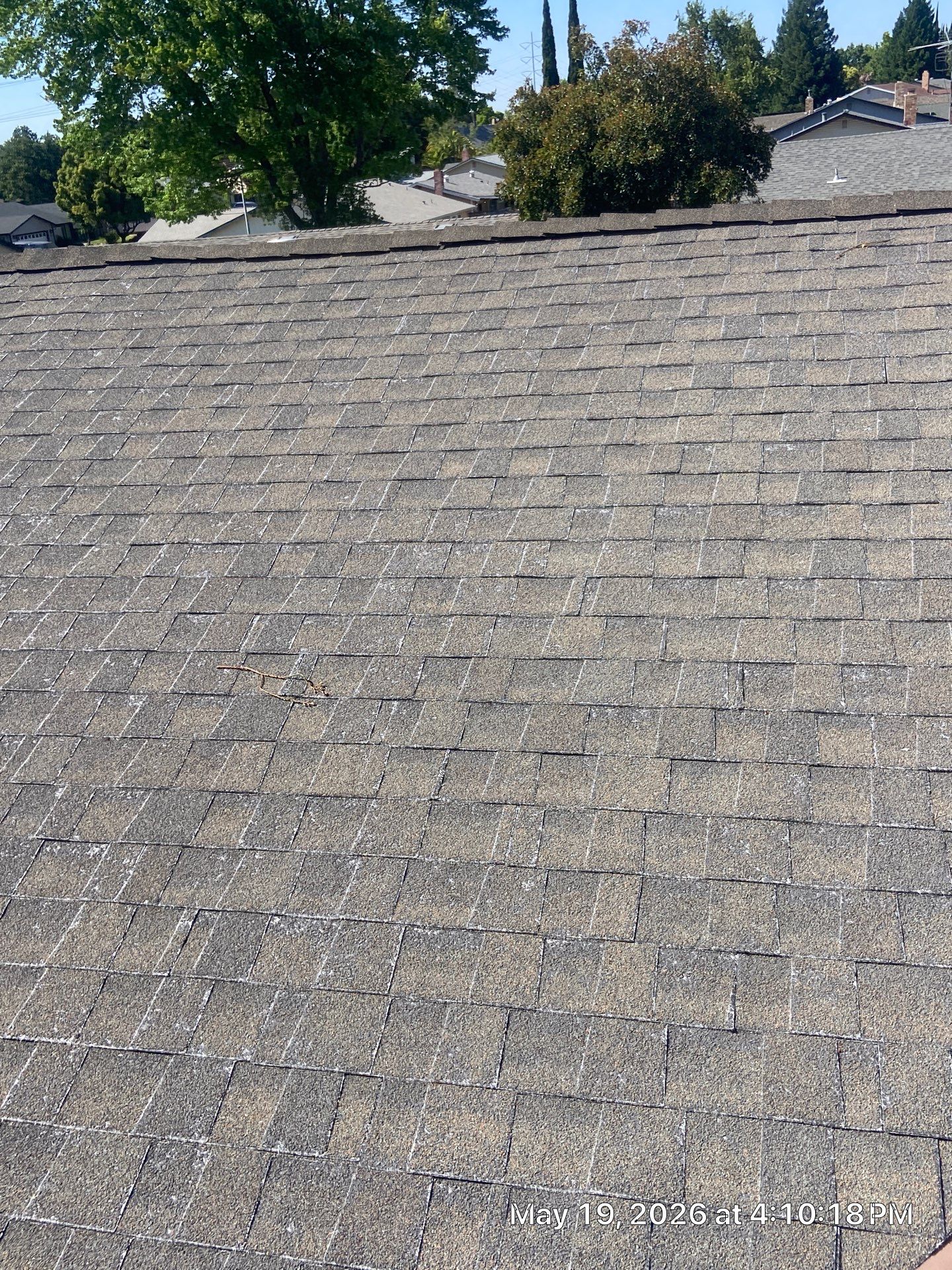 Roof Rejuvenation using Roof Maxx Treatment by Roof Maxx of Folsom