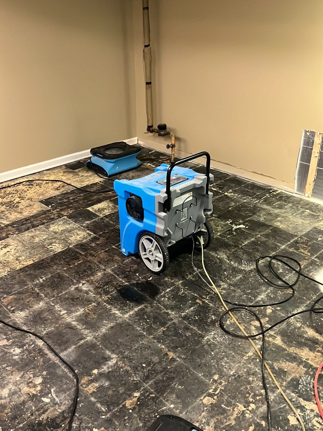 Project in Waterford Twp by EzDry Water Mitigation & Property Restoration