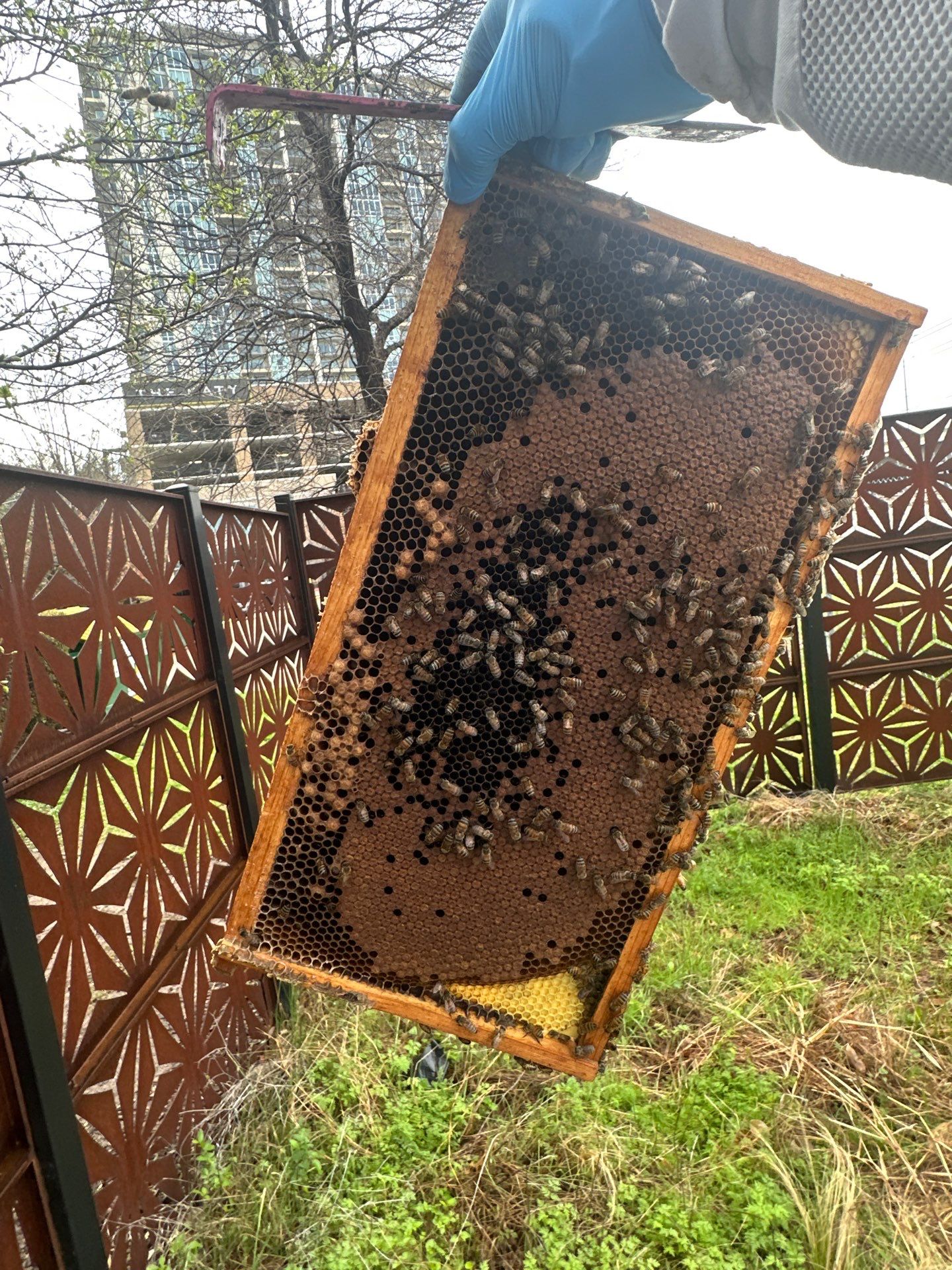 Apartments on the Trails by Rockwall Honey Bee Company