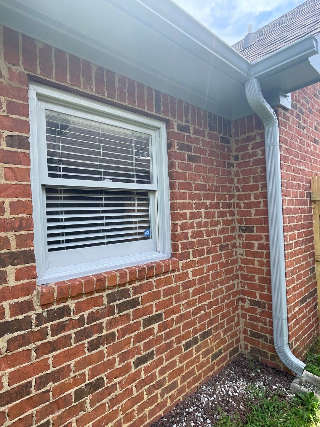 Downing Park - Paint by Pillar and Pine