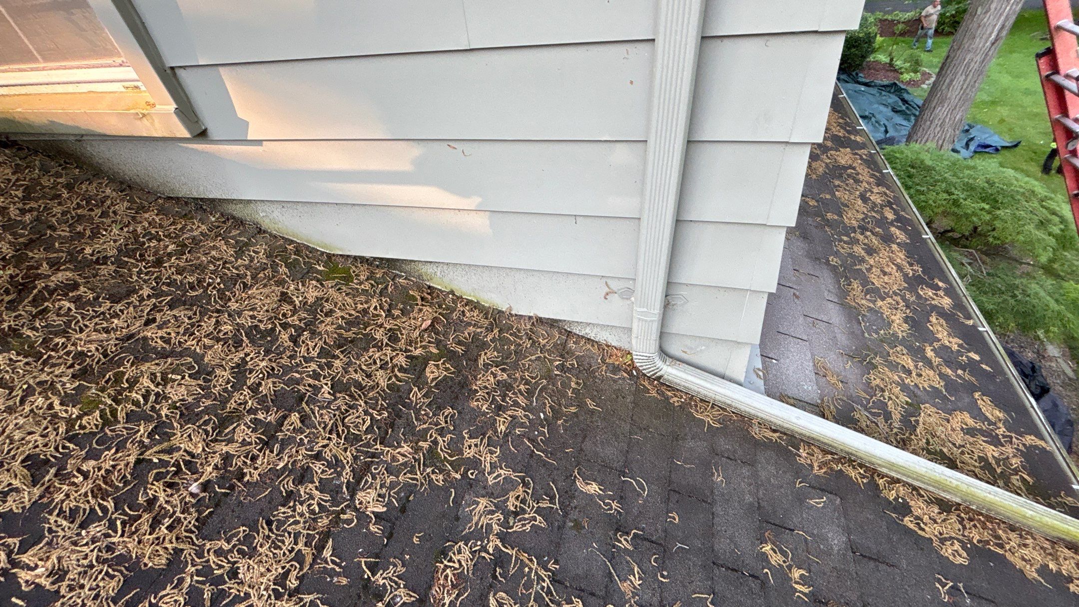 Roof Replacement using Owens Corning Teak by 180 Contractors