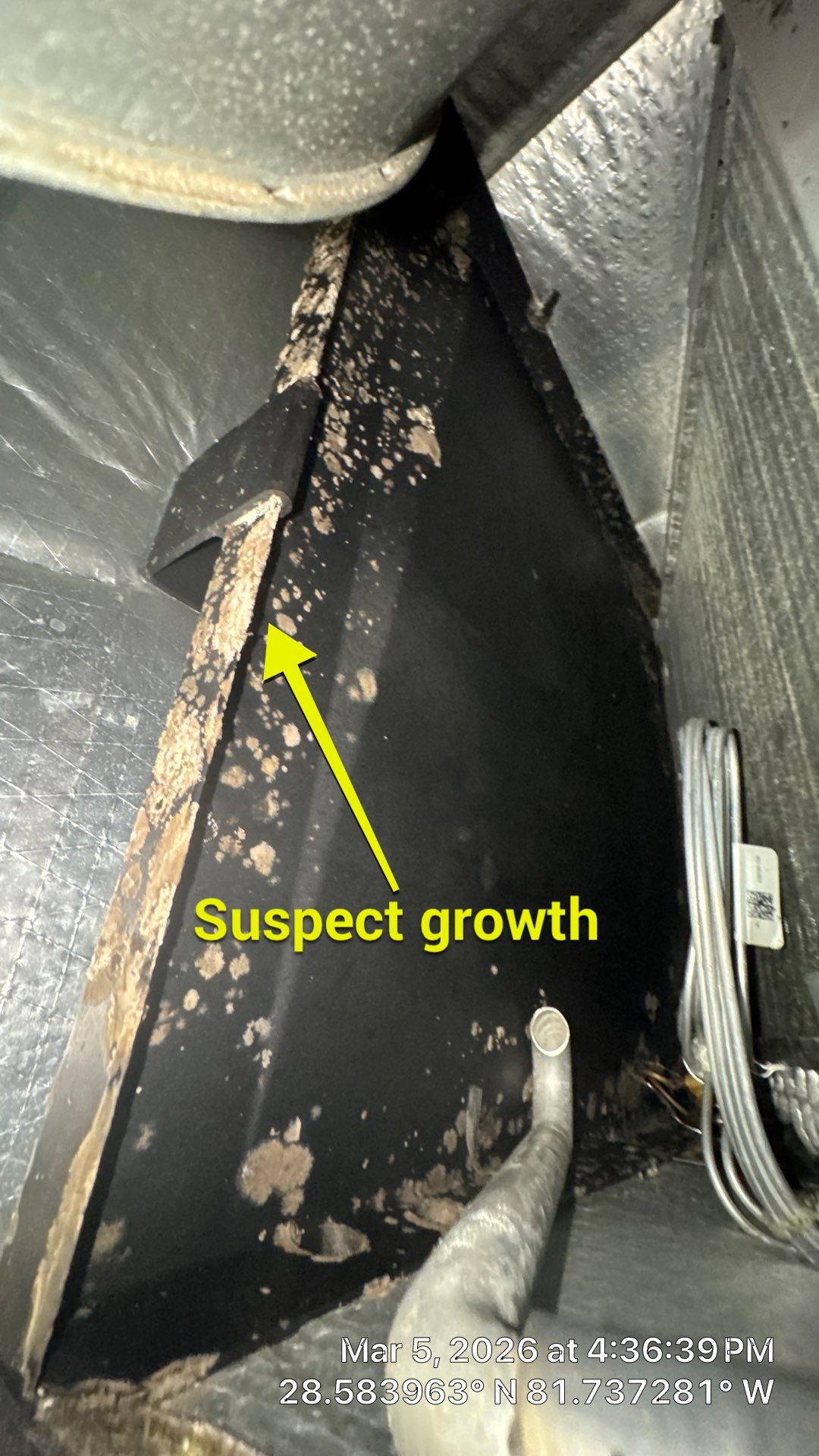 Air Duct Cleaning in Minneola by Hygienic Air, Inc