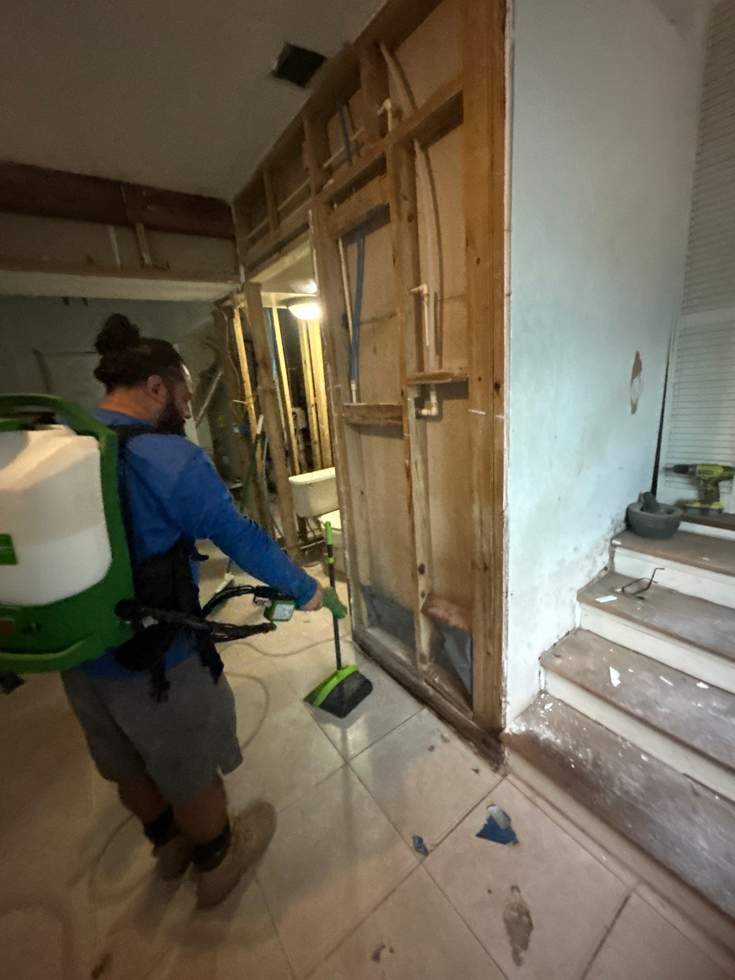 Mold Removal And Remediation In Saint Petersburg  by Ampm Restoration Services 
