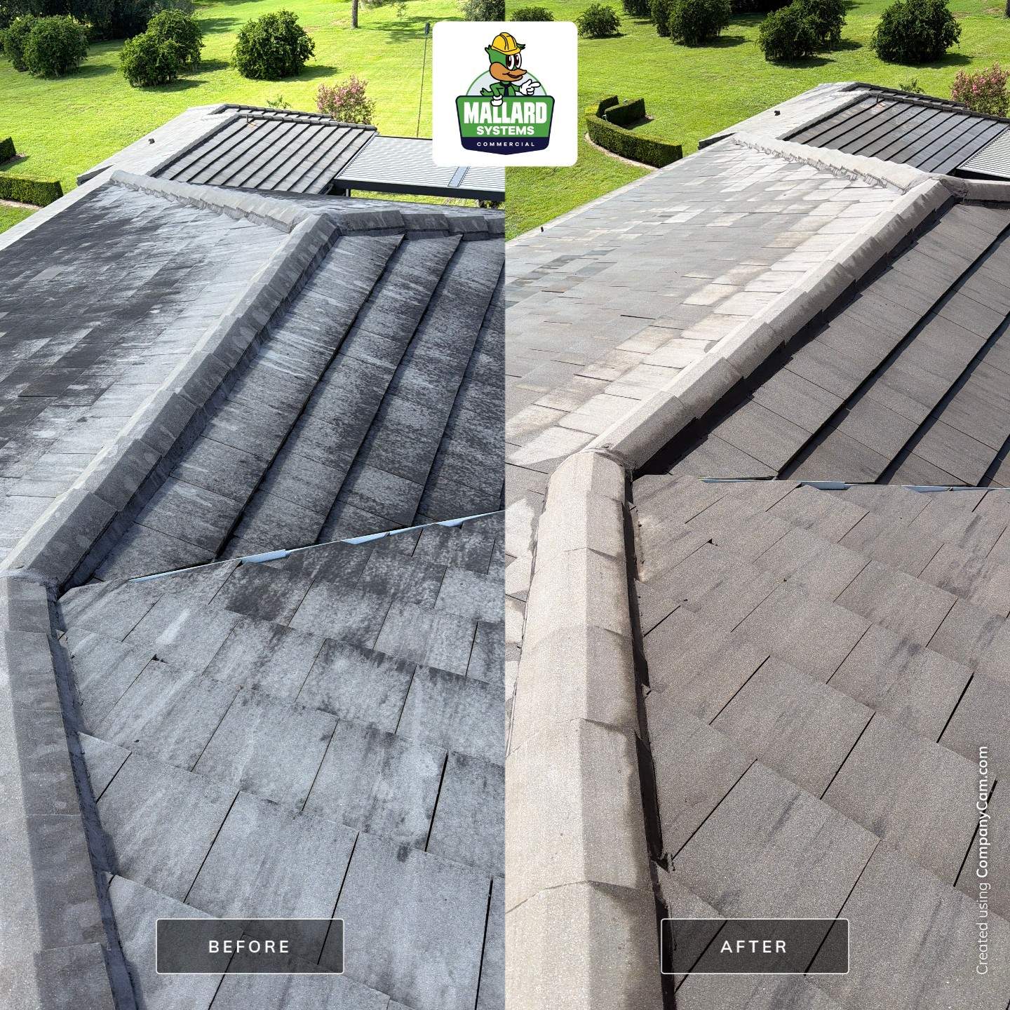 Residential Roof Cleaning in Winter Garden by Mallard Systems