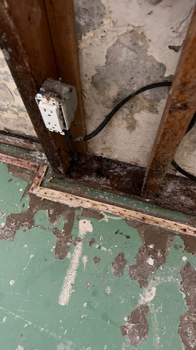 Mold Remediation by Accountable Home Services