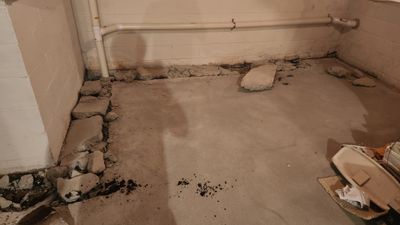 Interior French Drain in Mountain Lakes, NJ