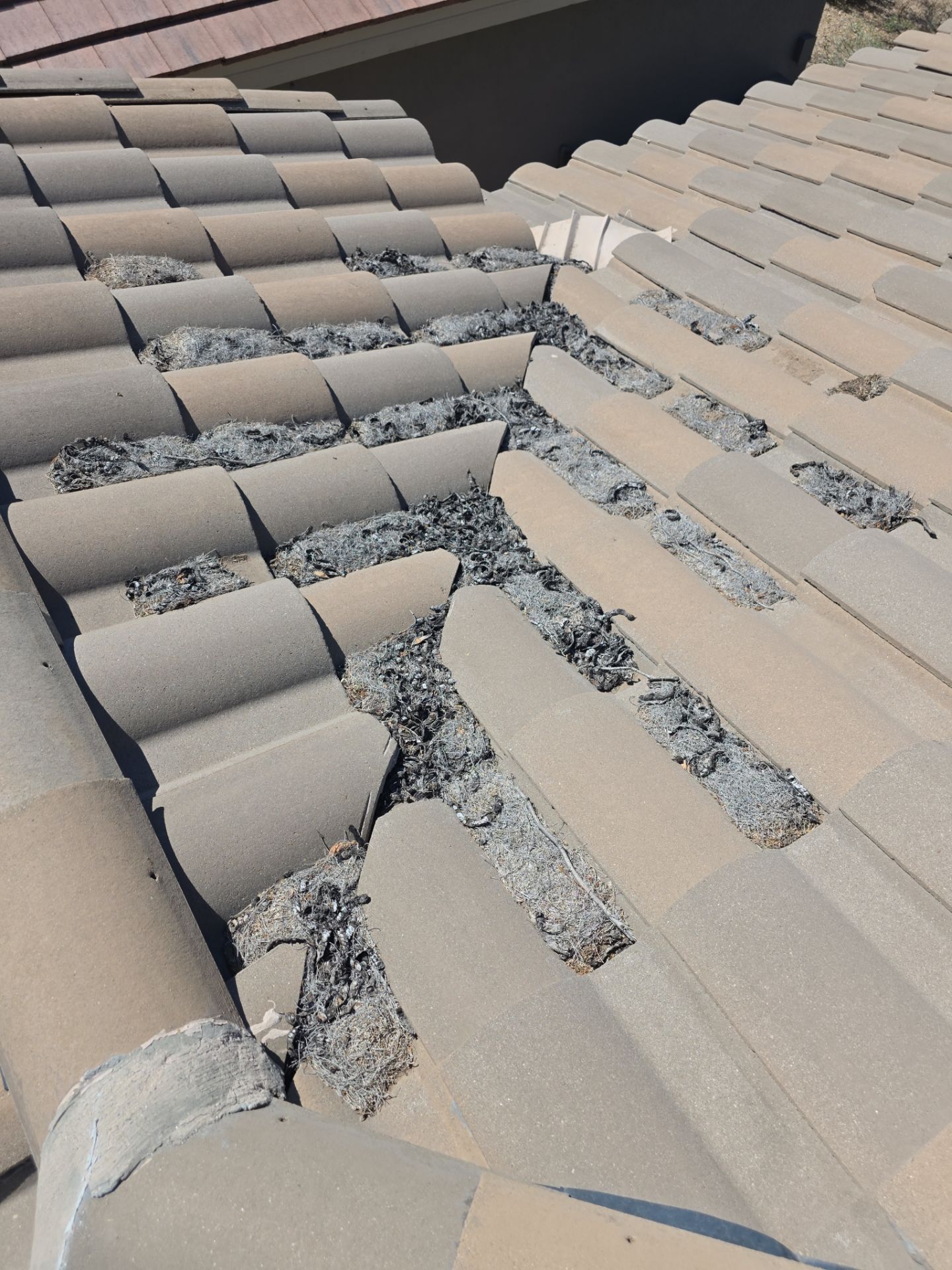 New underlayment and tile reset in Scottsdale. by Weather-Tite Roofing