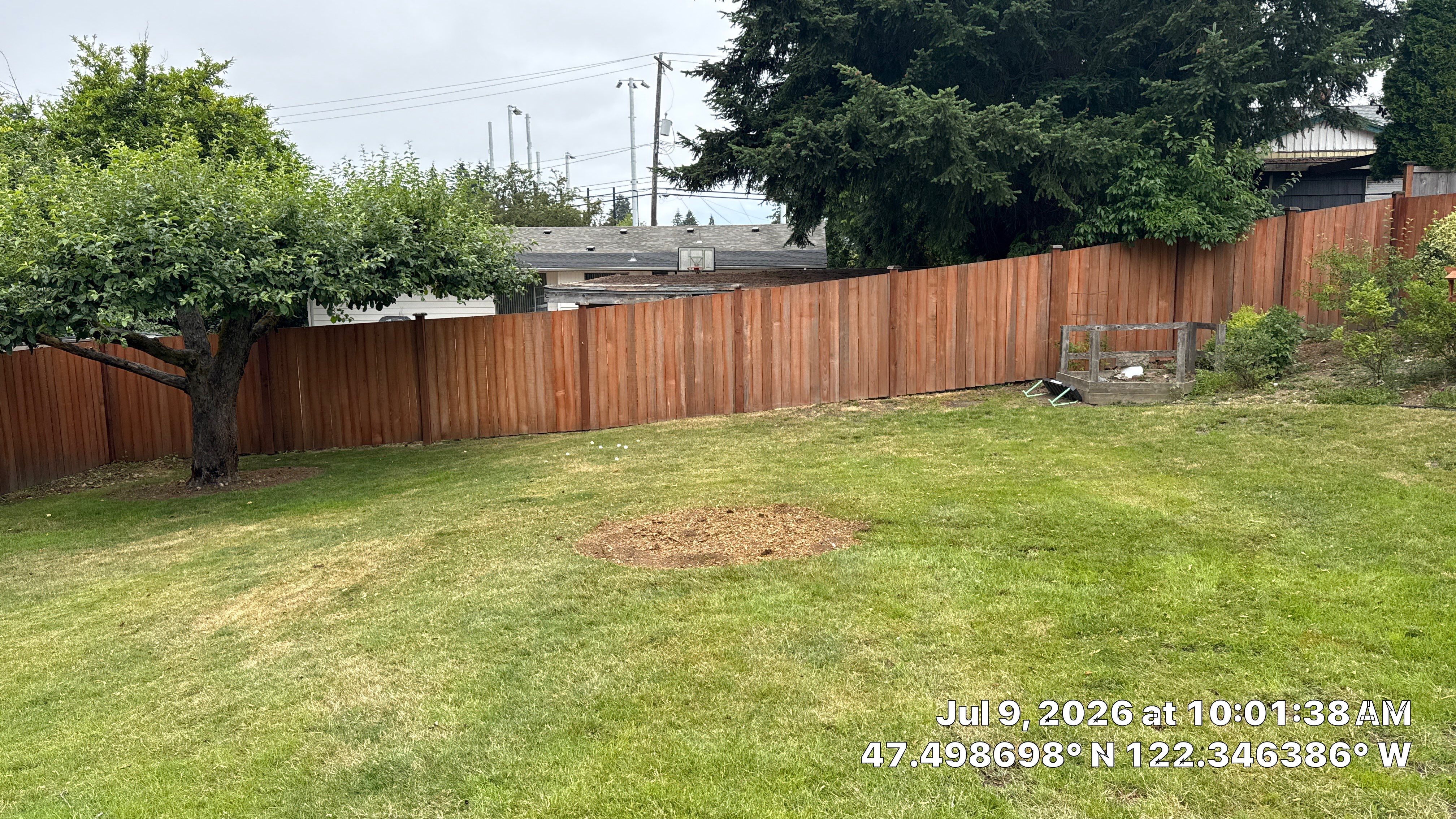 Seattle Stump Grinding & Lawn Restoration by Sound Tree Care LLC