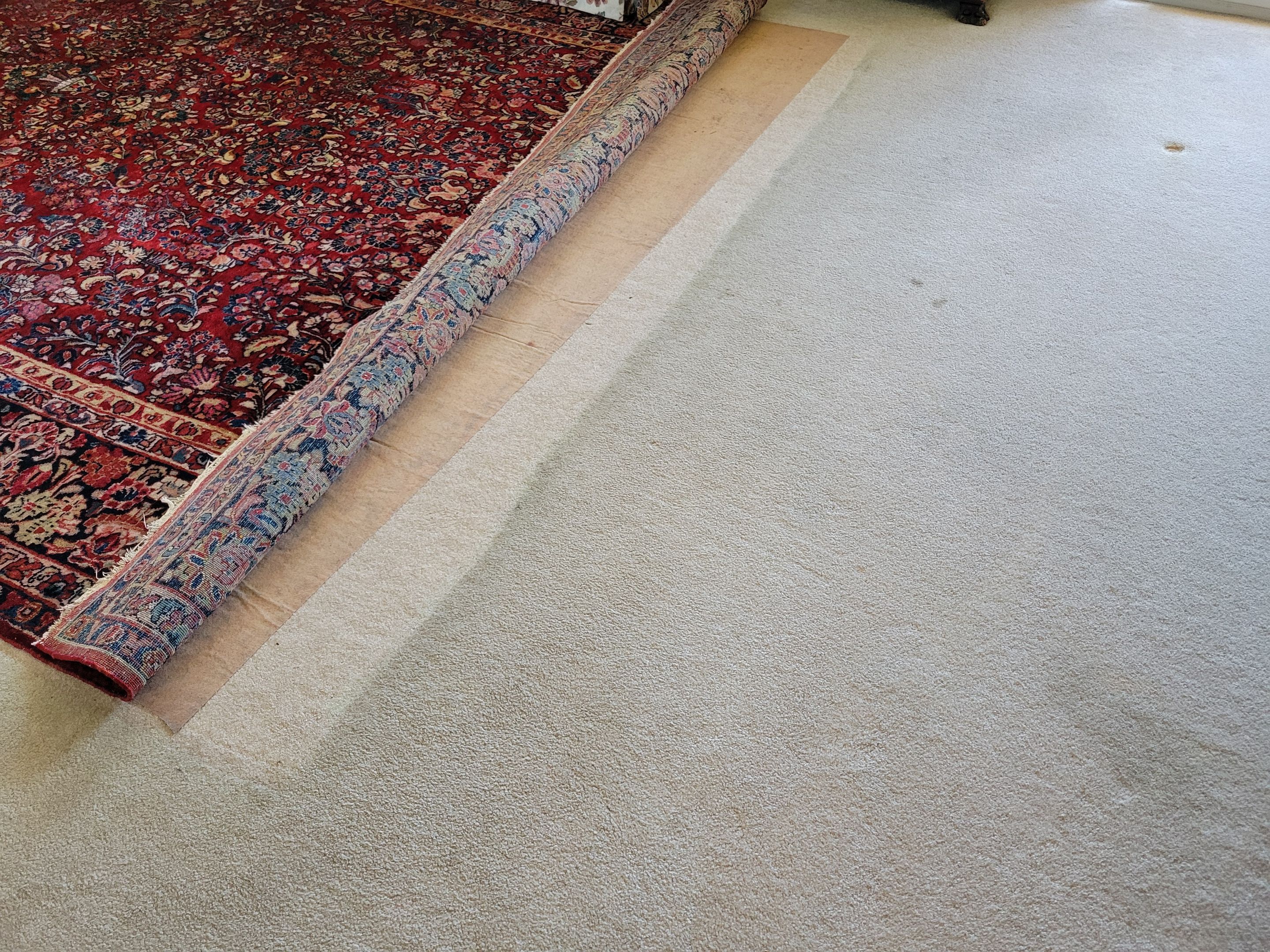 Never Cleaned Before, Carpet Clean by Ardent Carpet Restore LLC