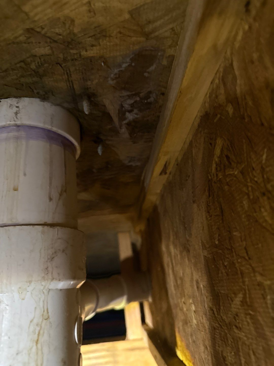 Bathroom and Crawlspace Water Damage and Mold by Healthy Home Solutions