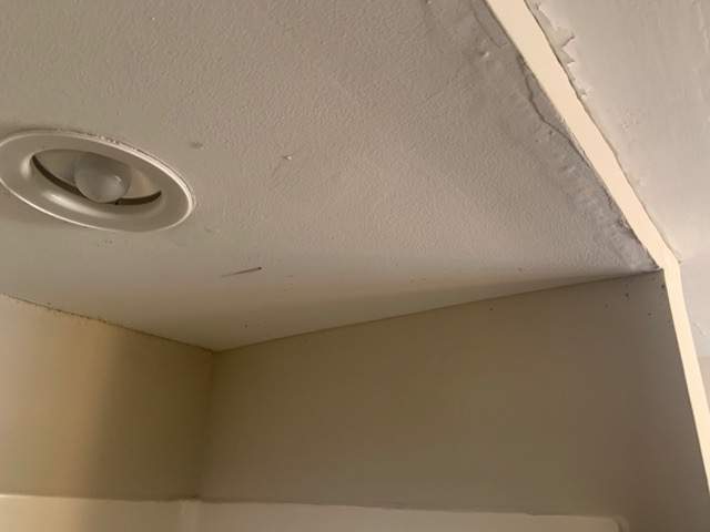 Ceiling & Shower Repair by A1 NERDY HOMES LLC