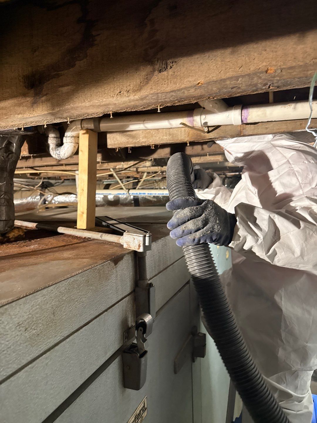 Rehoboth Beach VFW Indoor Air Restoration & Basement Mold Remediation by Healthy Home Solutions