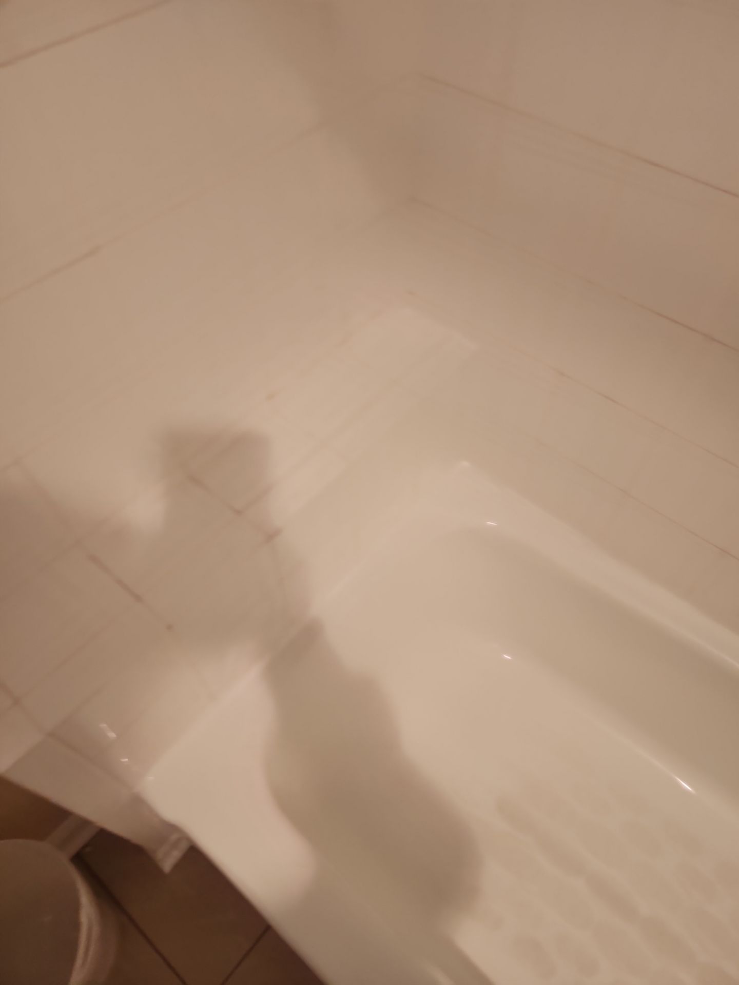 Bathroom Remodel using Onyx by The Shower Company