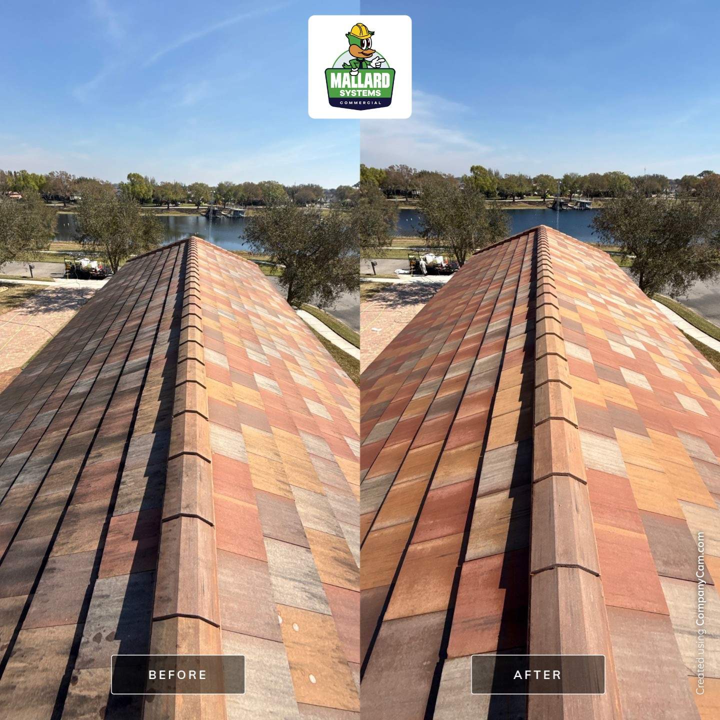 Flat Tile Roof Cleaning by Mallard Systems