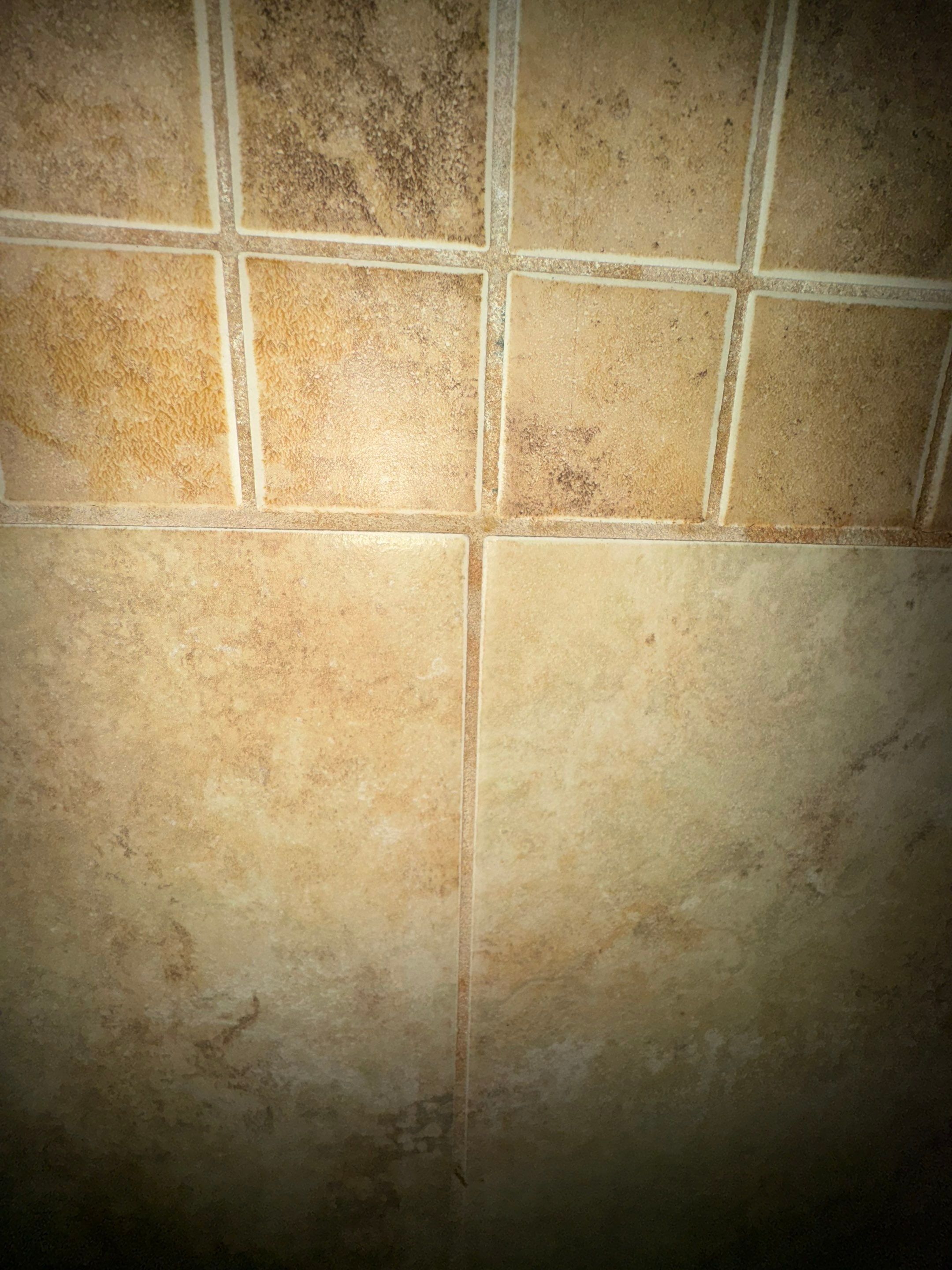 Tannersville - Tub to Shower Conversion by Fix Core LLC