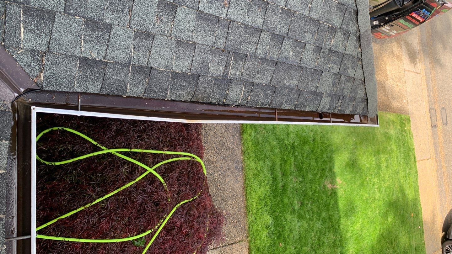 Softwashed in many Years back, and organic regrowth significant by DawnSky LLC
