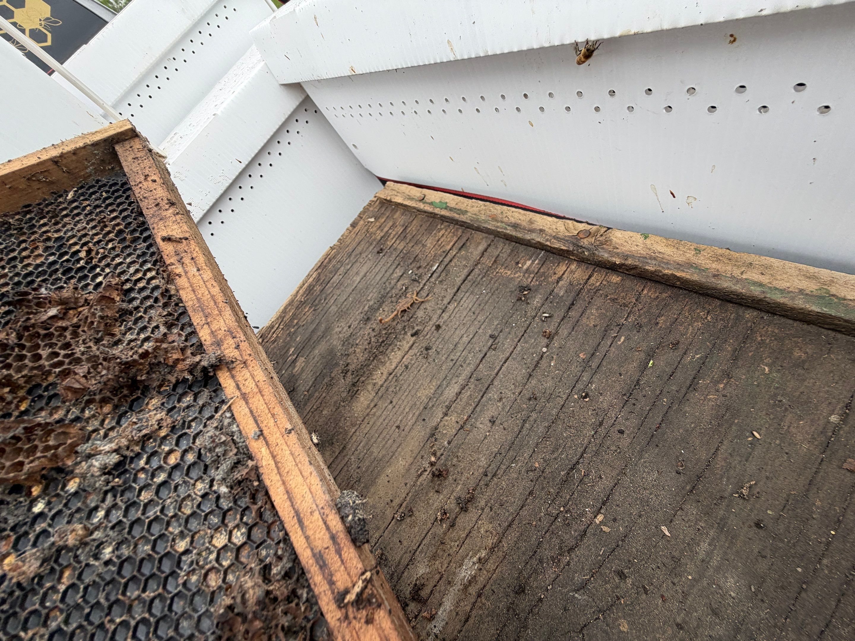 Exemption in Royse City, TX by Rockwall Honey Bee Company