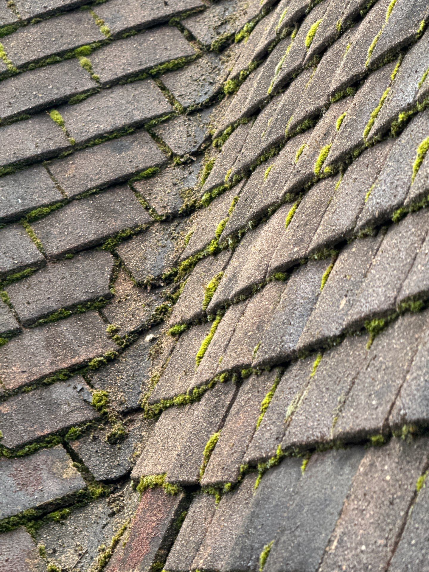 Roof and Patio Cleaning using Honda 15lpm Low Pressure Washing Machine by Ges Exterior Cleaning ltd
