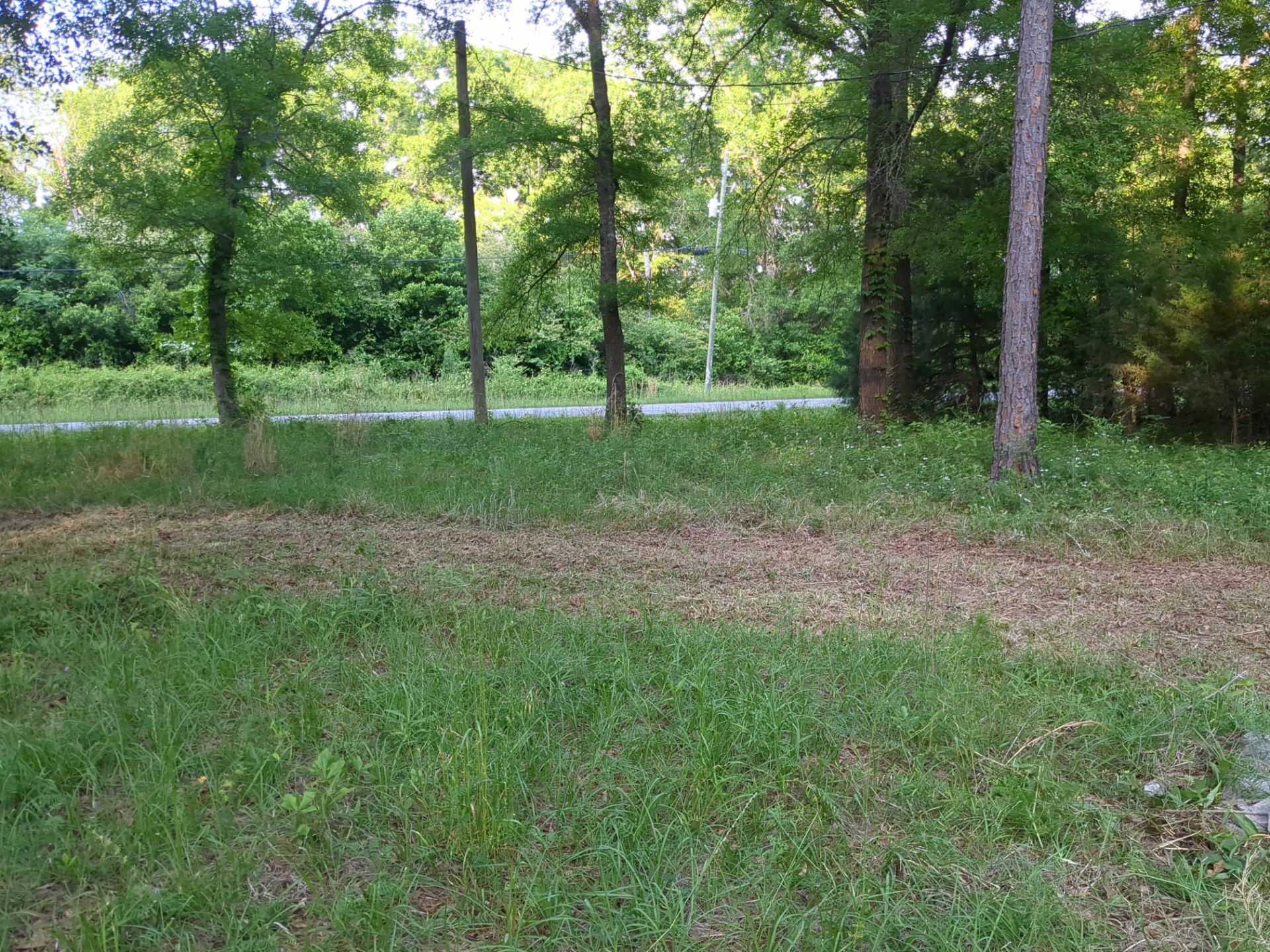 Exterior Clearing - tree trimming - grass cut by Swift Signings and Services LLC