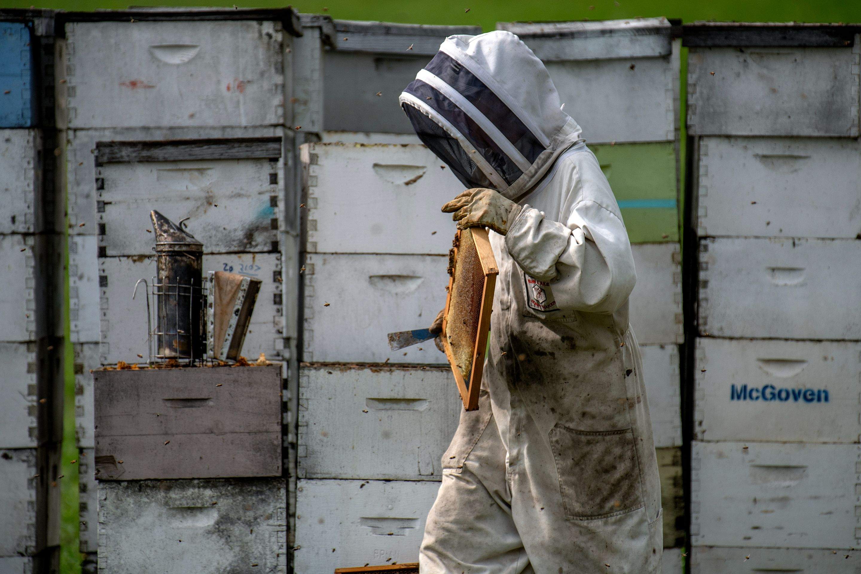 Splits in East Texas by Rockwall Honey Bee Company