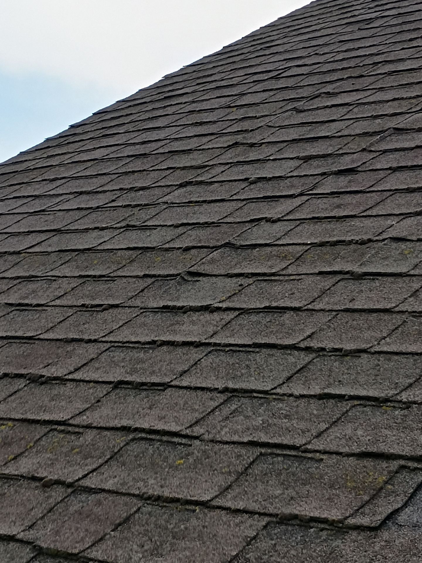 Roof Rejuvenation using Roof Maxx Treatment by Roof Maxx of Folsom