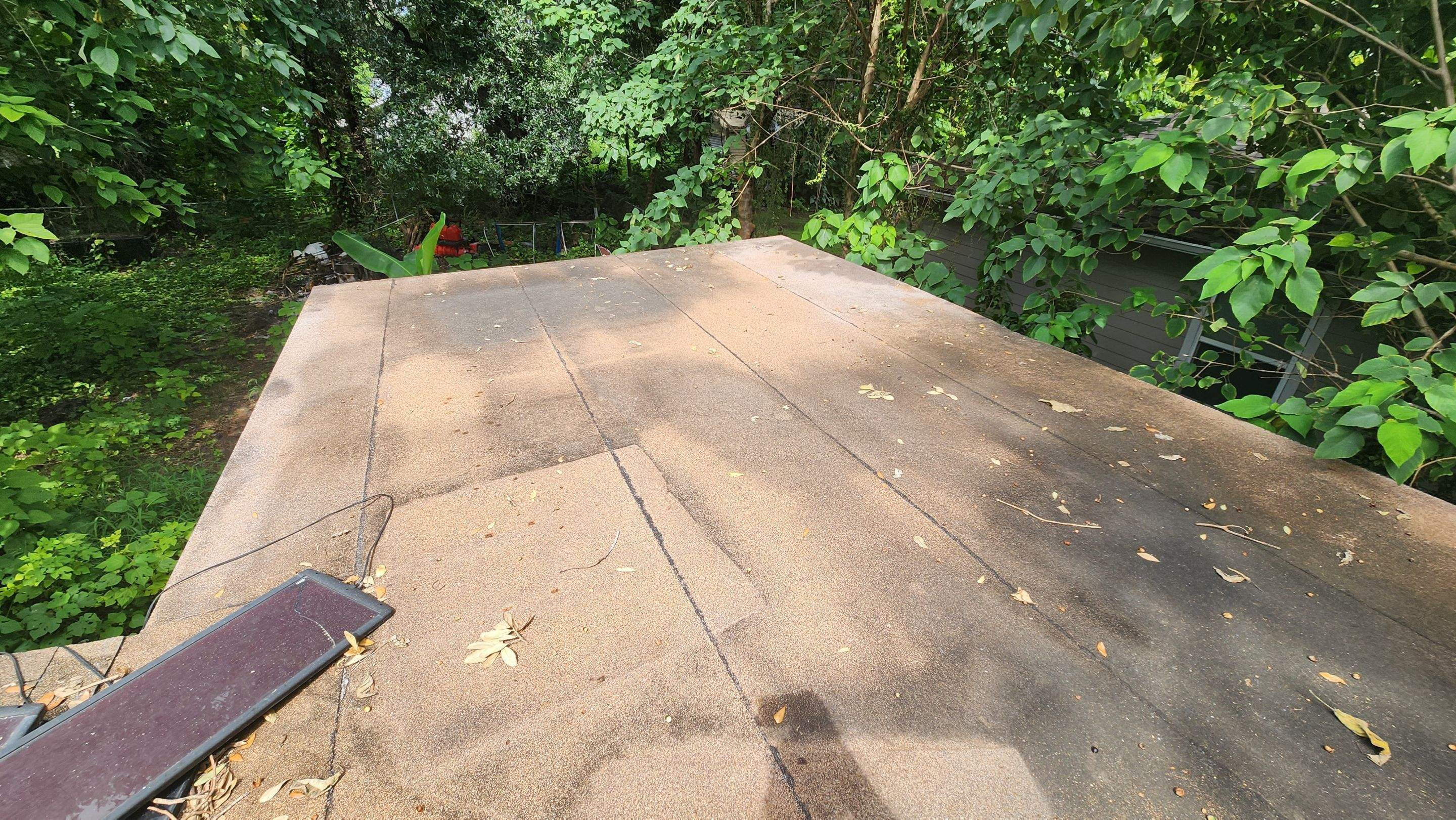 Tree Damage Claim in Orlando by FLAPA & KeyStone