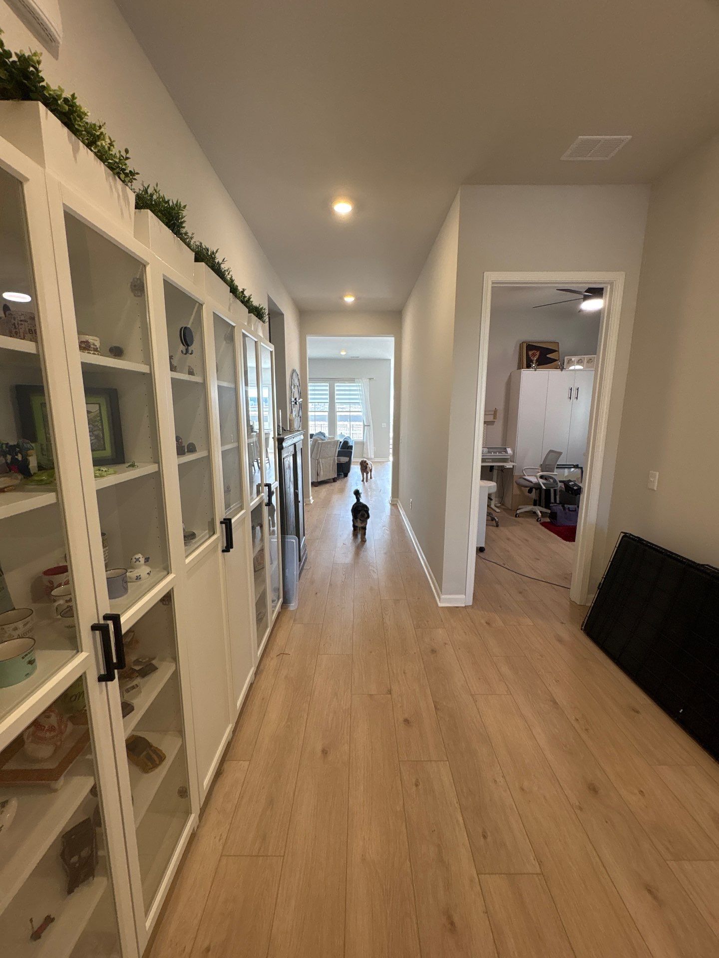 Another fresh interior transformation underway in Summerville 🎨 by Pathway Home Painting & Improvements