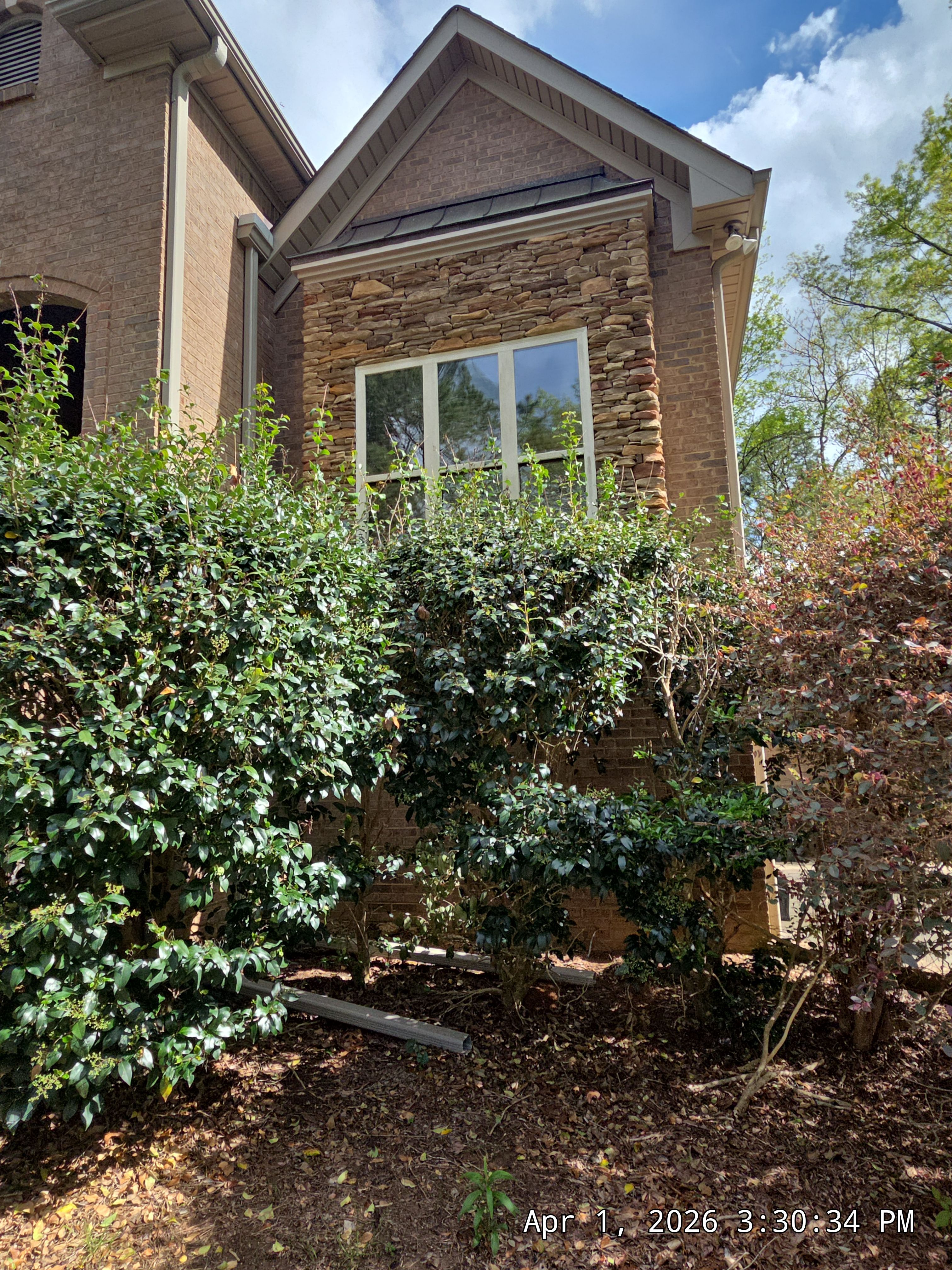 Bruner Project in Helena by The Window Source