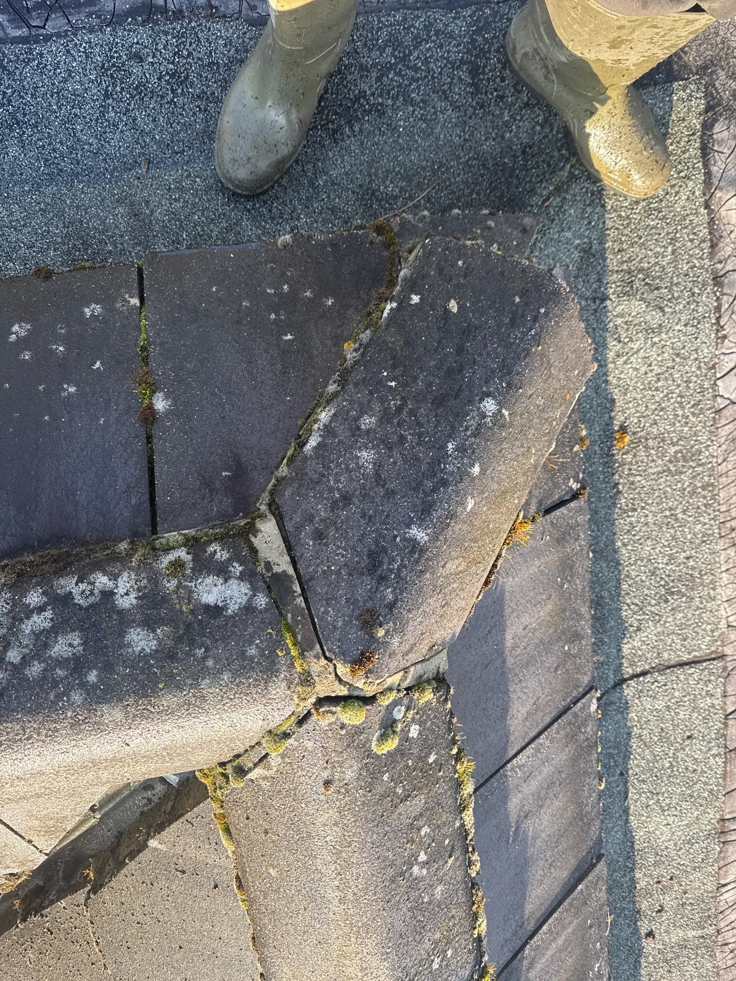 Care Home Roof and Walk Ways clean by Ges Exterior Cleaning ltd