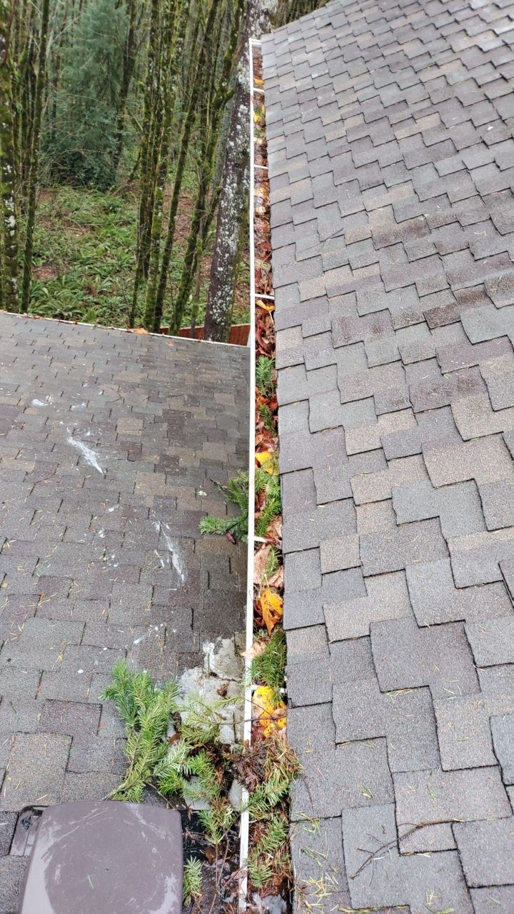 Gutter Cleaning by Paul Schopp