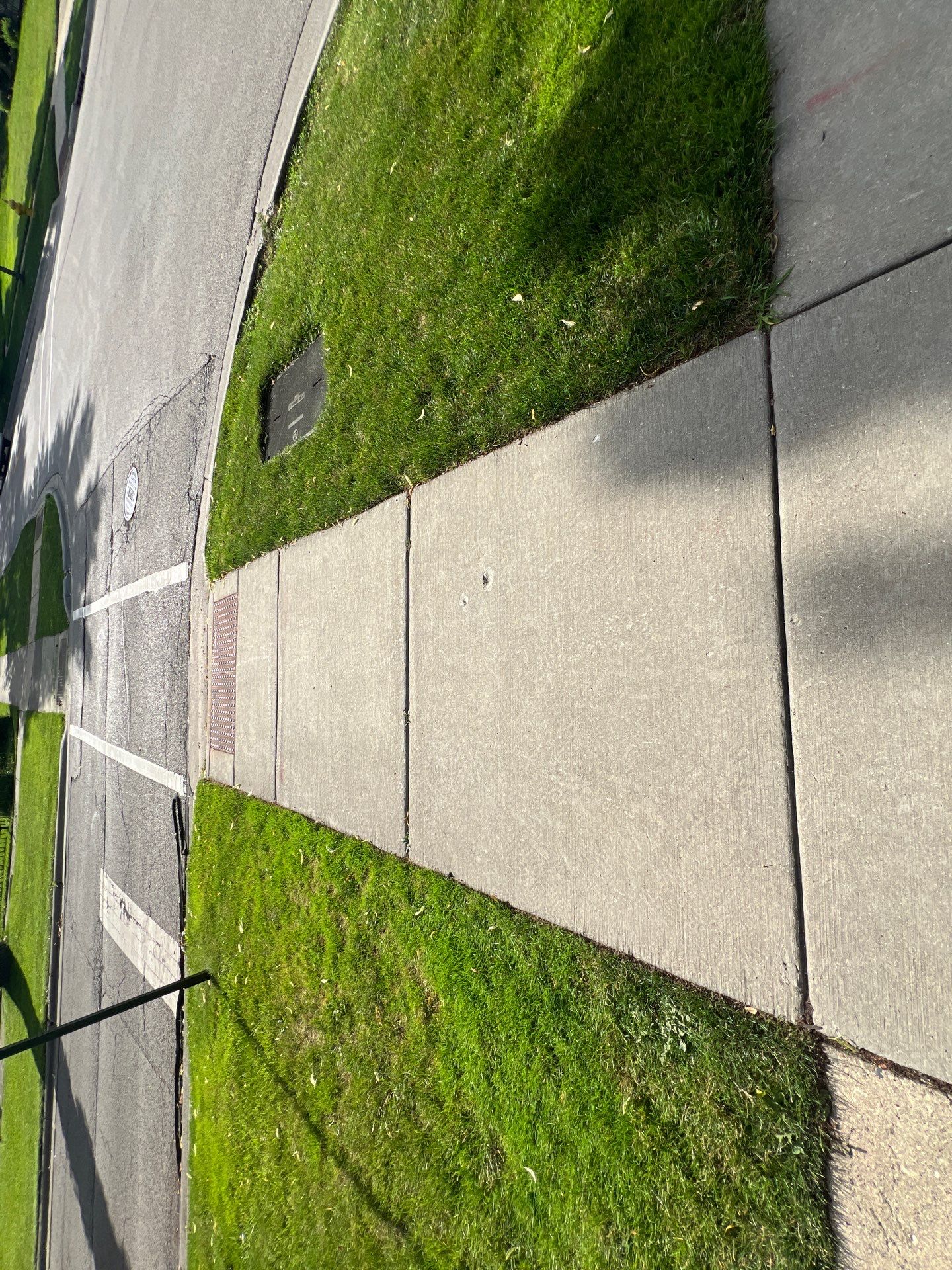 concrete cleaning using Algaecide, soft wash soap by Northern Power Washing LLC.
