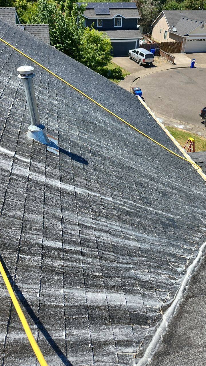 Interior and Exterior gutter clean and Roof Wash by Willamette Outdoor Wash LLC