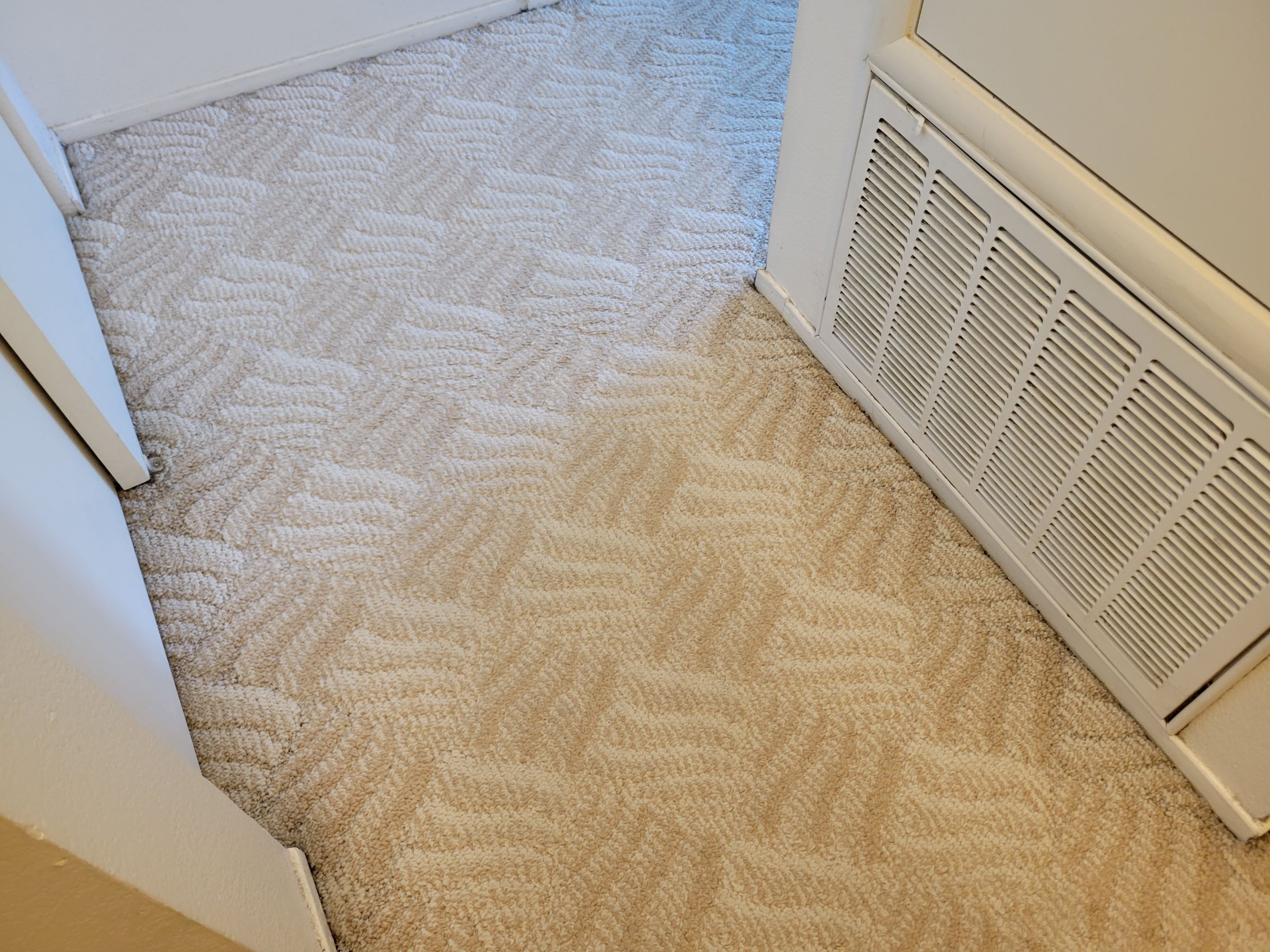 Post Dry Out, Water Stain Removal by Ardent Carpet Restore LLC