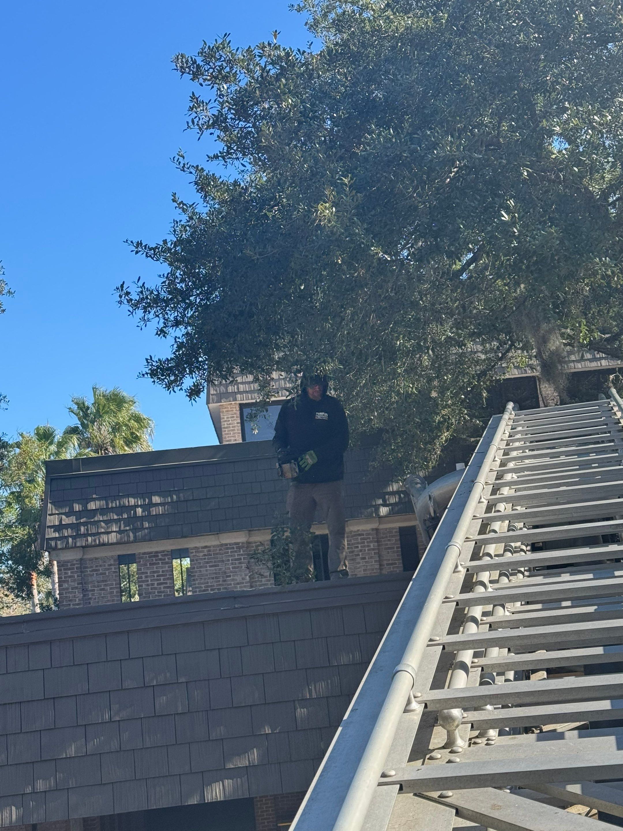 Volunteer Work | Episcopal High School of Jacksonville by ProGreen Services