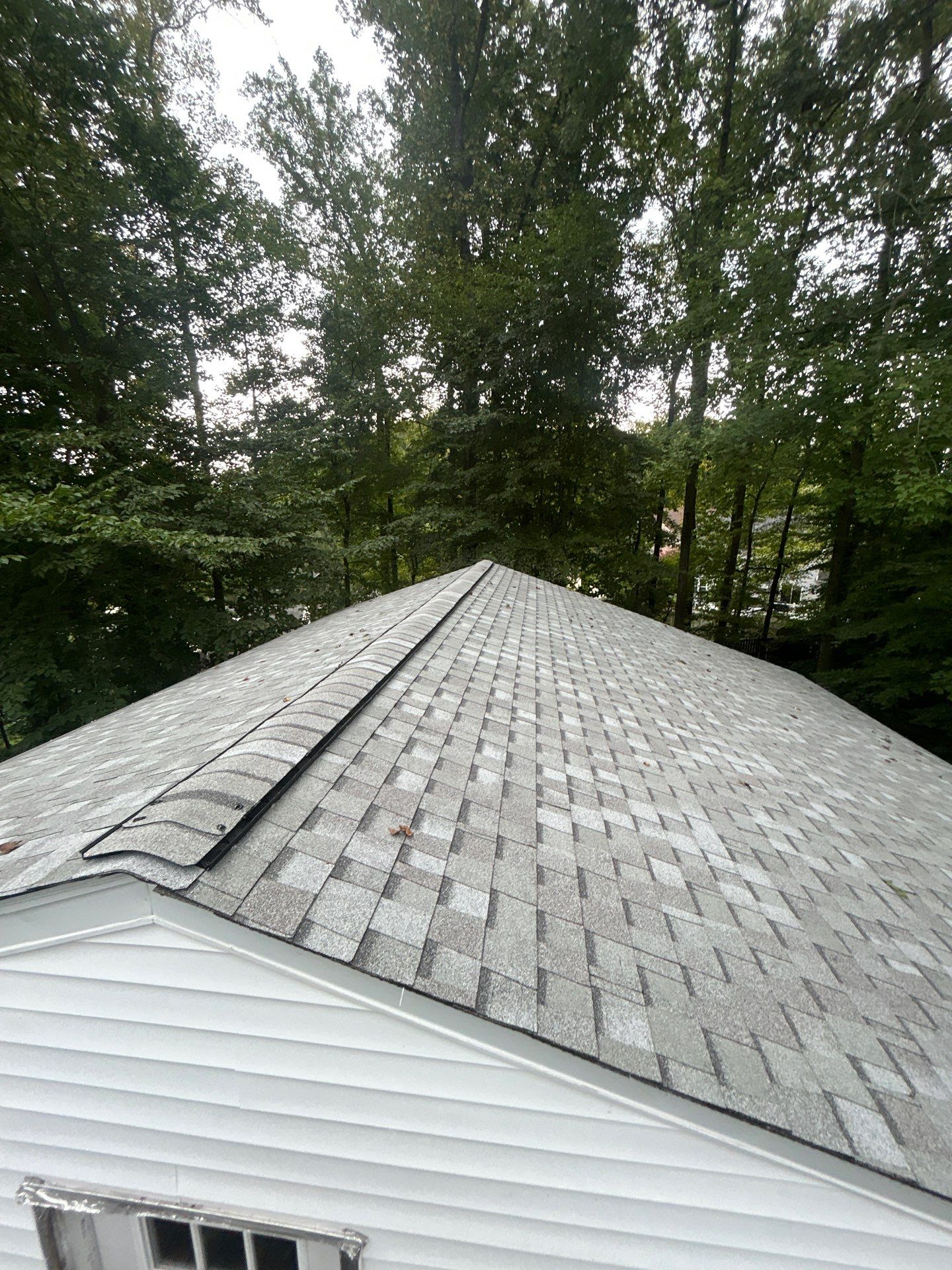 Springfield : with CertainTeed Landmark Pro in Max Def Cobblestone Gray  by RM Banning, Inc.