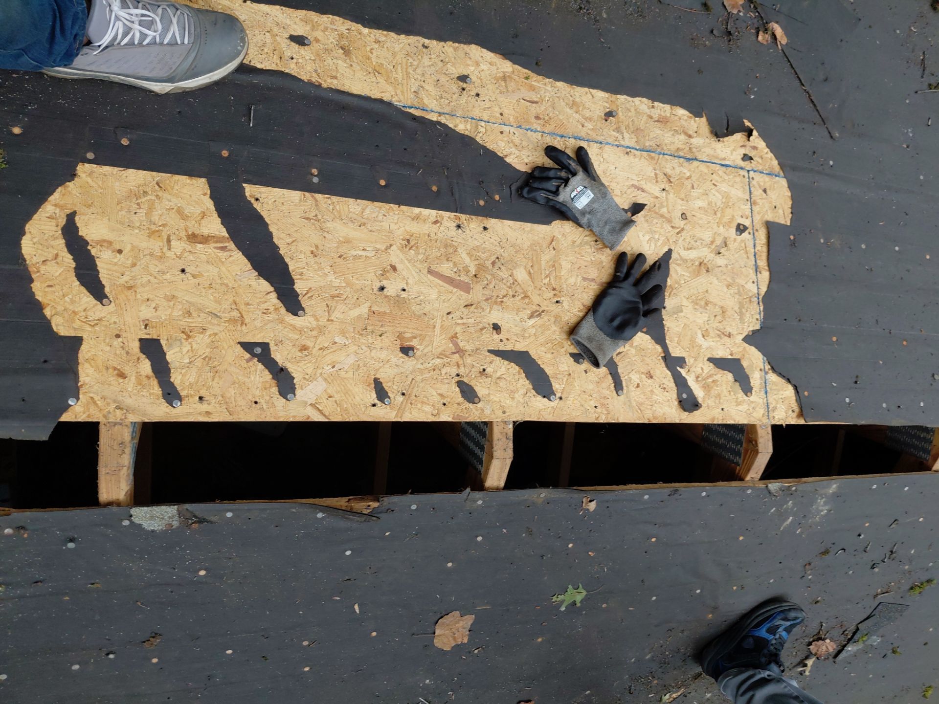 Springfield : with CertainTeed Landmark Pro in Max Def Cobblestone Gray  by RM Banning, Inc.