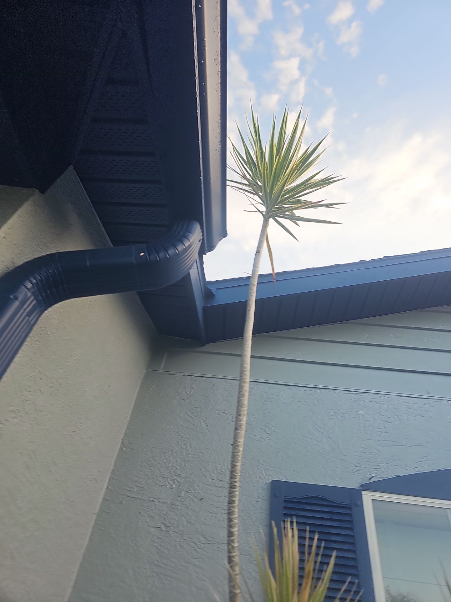 Project in Clearwater 33756 by Mitchell Roofing Company LLC 