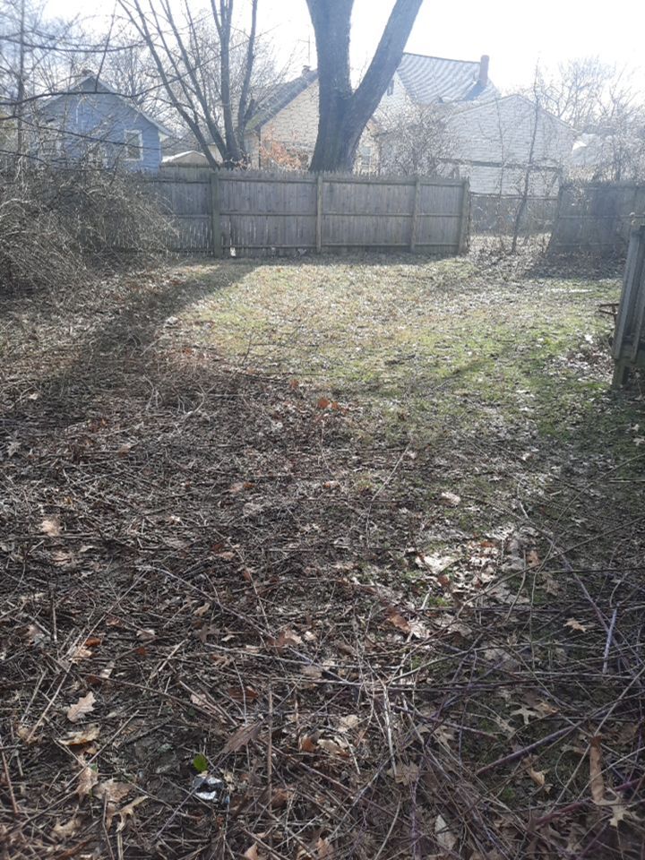 Tree Removal using Tree Removal by Mike Jones & Sons Tree Service LLC 