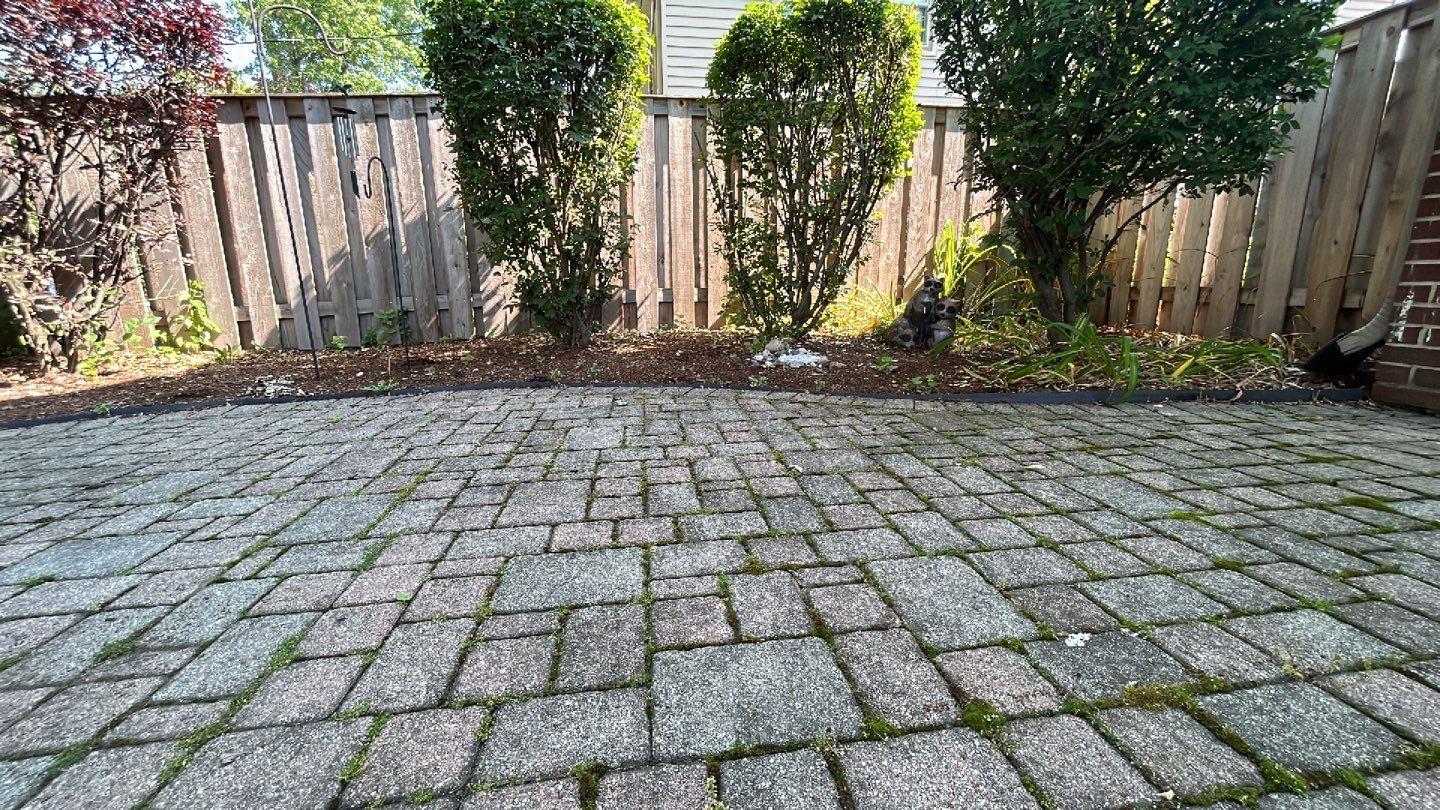Brick paver clean, sand and seal. using Algaecide, soft wash soap by Northern Power Washing LLC.