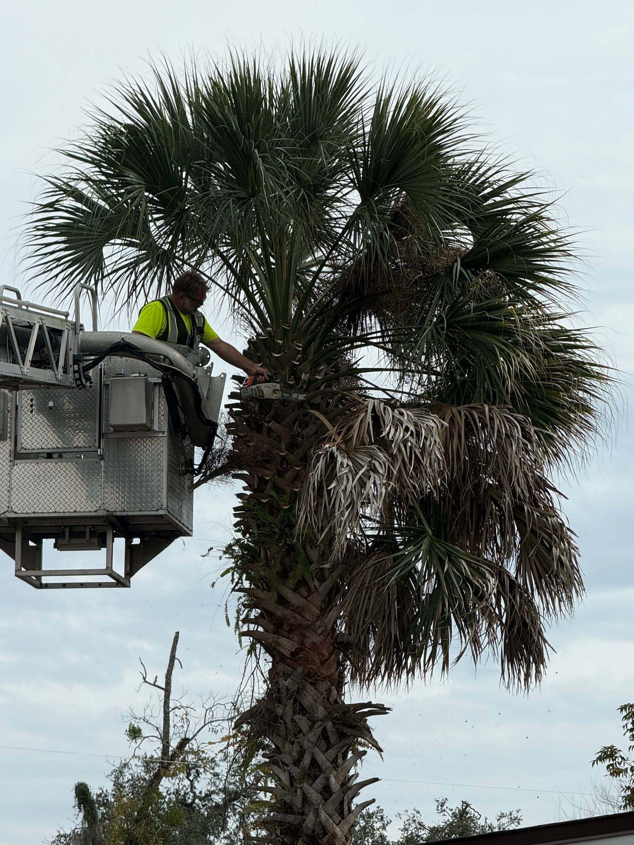 Volunteer Work | Episcopal High School of Jacksonville by ProGreen Services