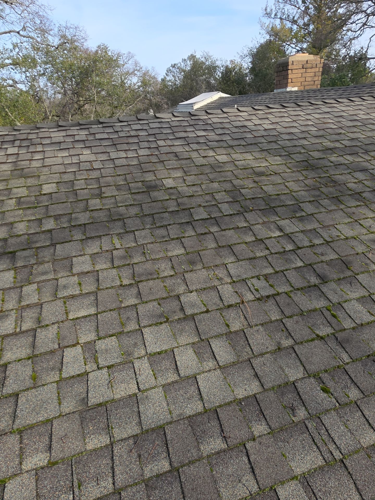 Roof Rejuvenation using Roof Maxx Treatment by Roof Maxx of Folsom