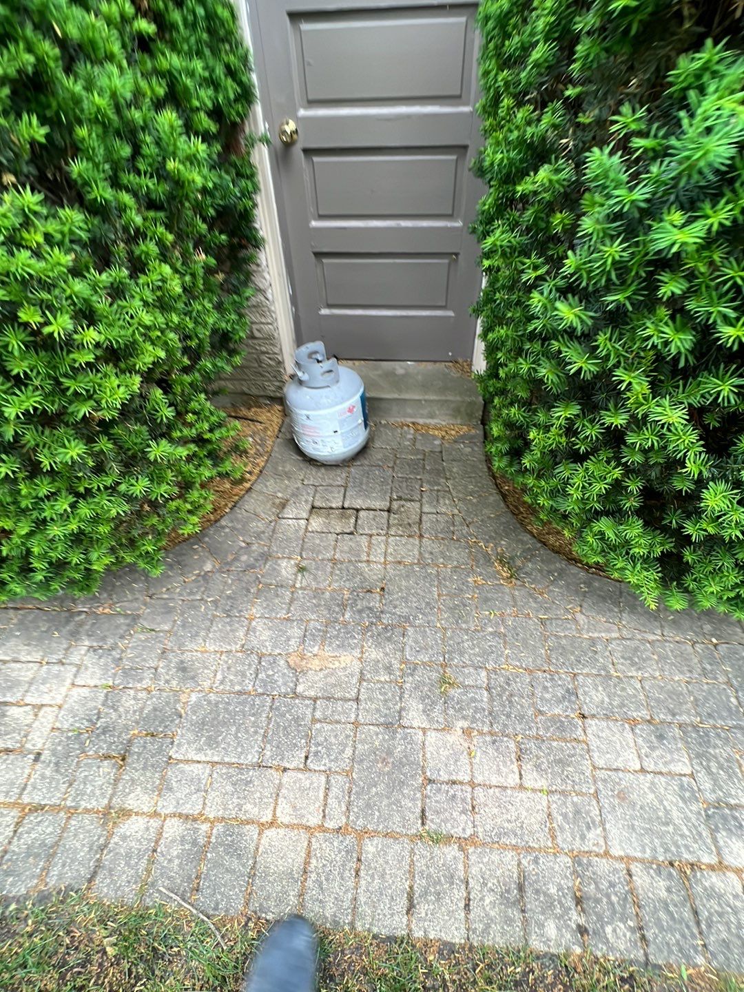 Northbrook, IL repair, clean, sand, seal by Northern Power Washing LLC.