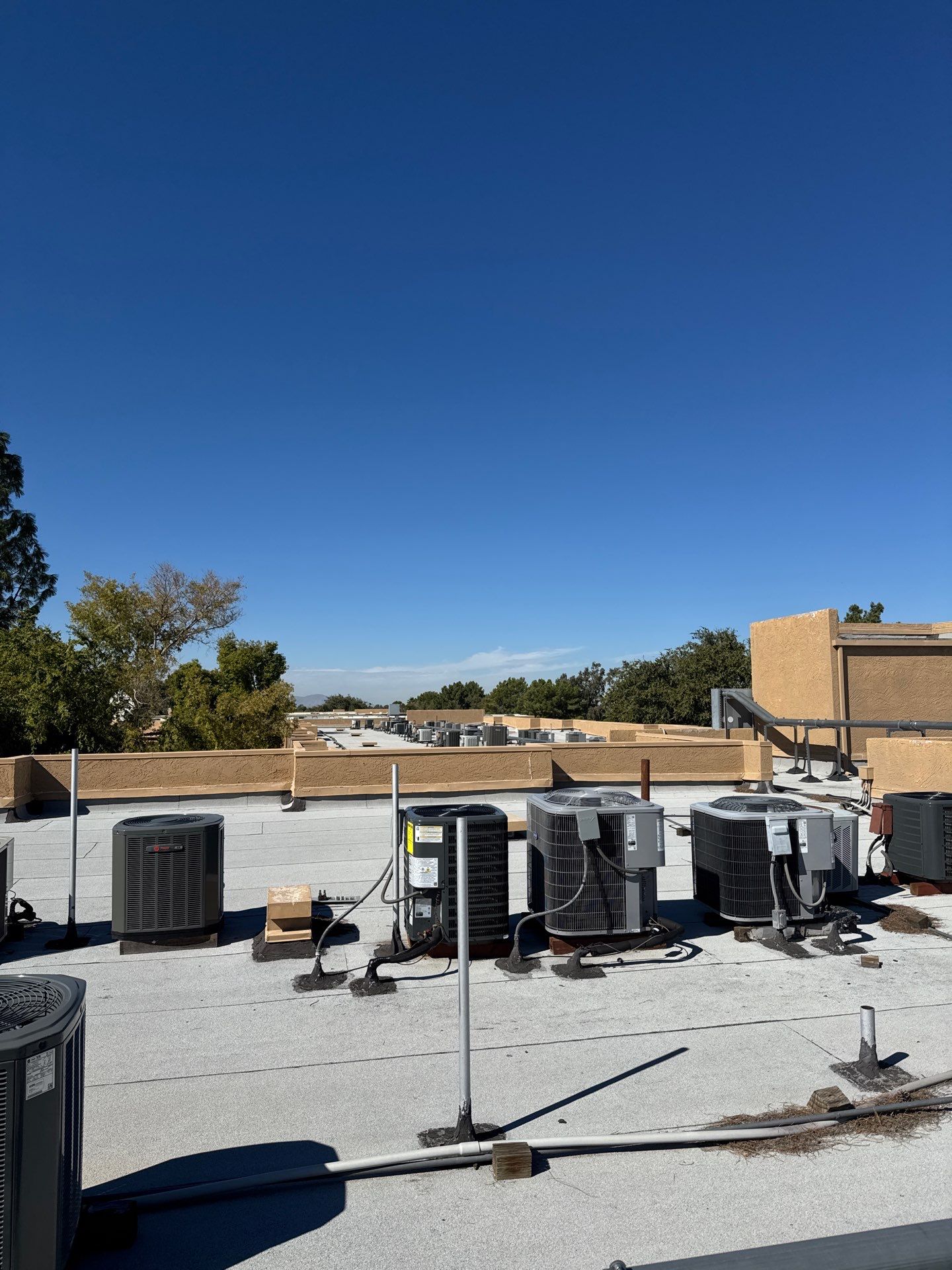 Project in Glendale by Crush Development Services LLC