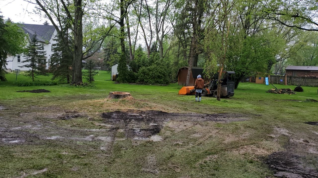 Tree Removal using Tree Removal by Mike Jones & Sons Tree Service LLC 